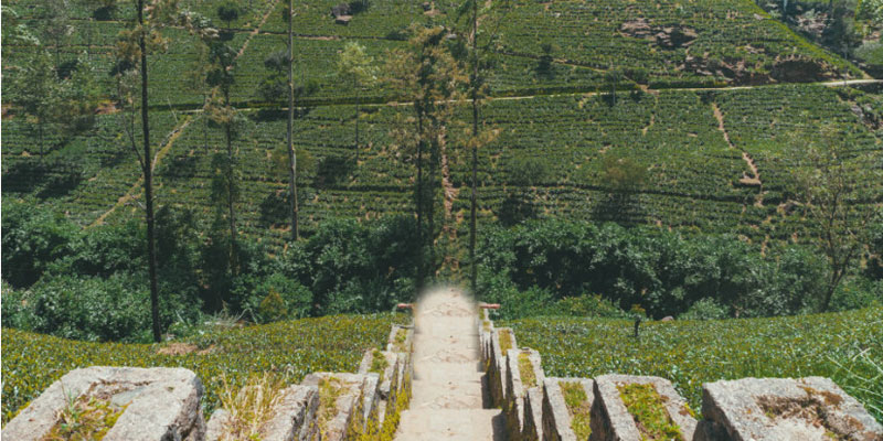 Nuwara Eliya